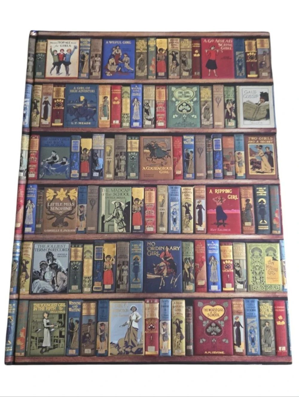 NEW Flame Tree Bodleian Libraries: High Jinks Bookshelves Blank Sketch Book